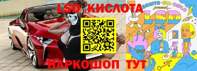 прущие грибы Будённовск