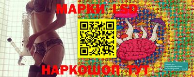 амф Сланцы