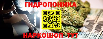 прущие грибы Будённовск