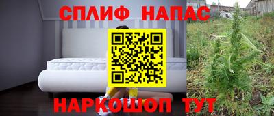 прущие грибы Будённовск