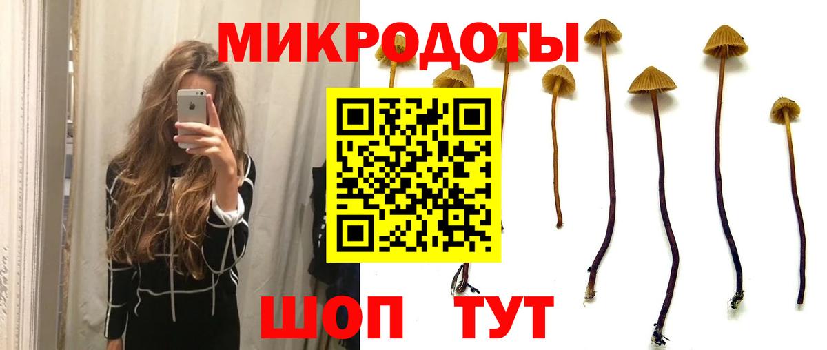 Псилоцибиновые грибы MAGIC MUSHROOMS  купить наркотик  Мариинск  Вход с VPN 